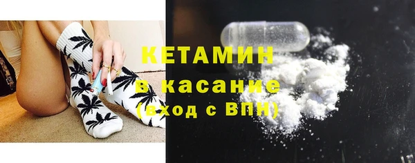индика Арсеньев
