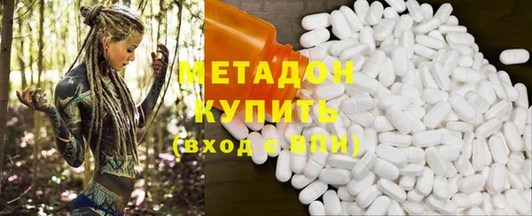 индика Арсеньев