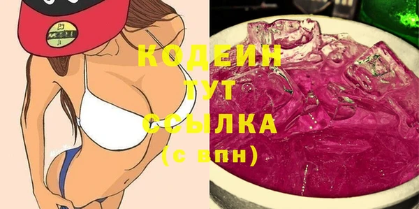 индика Арсеньев