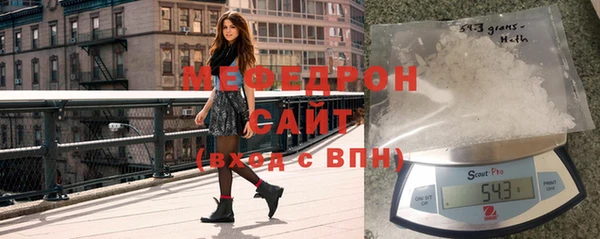 индика Арсеньев