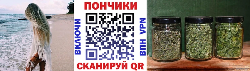 где купить Спас-Деменск Конопля MAZAR